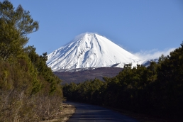 Turangi